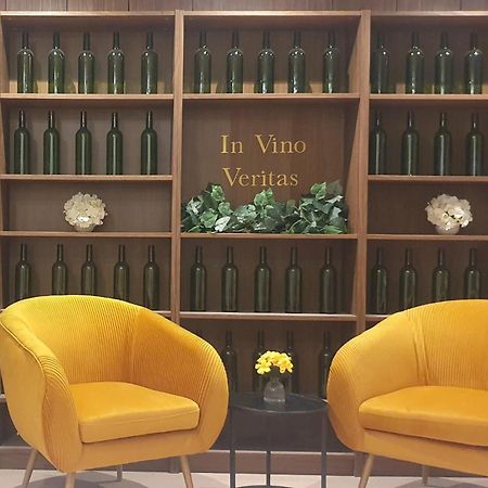 Suite Vinicole Hypercentre, Bastille & Gare 9 Min A Pied Grenoble Zewnętrze zdjęcie